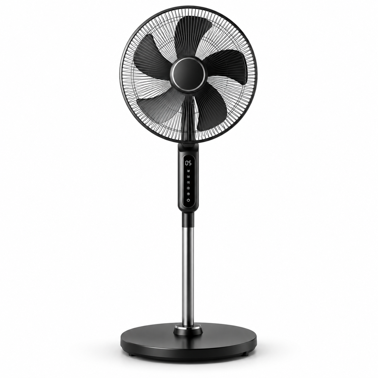 Fans