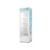 Hisense Showcase Refrigerator 381L (51FC-FL)